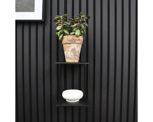 Vägghylla med växt i terrakottakruka och dekorativ skål