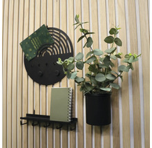 Väggdekoration med hängande växt, anteckningsbok, kort och nyckelhållare