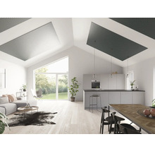 Vardagsrum med akustikpaneler i taket, kombinerat med kök och vardagsrum