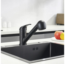 Köksblandare med utdragbar spray monterad i en diskho