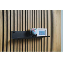 Väggpanel med hylla, jordglob och bild