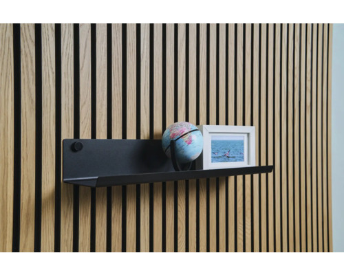 Väggpanel med hylla, jordglob och bild