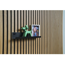 Väggpanel med hylla, ballonghundfigur och fotoram