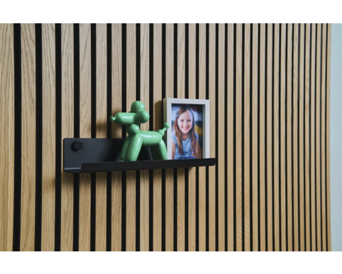 Väggpanel med hylla, ballonghundfigur och fotoram