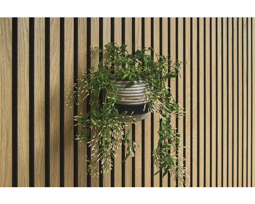 Dekorativ vägg med träpaneler och krukväxt