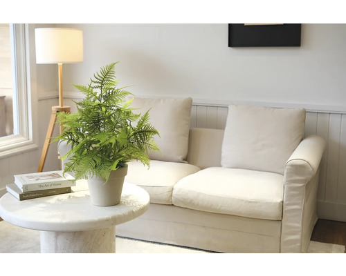 Dekorativ krukväxt på ett marmorbord framför en soffa och en golvlampa