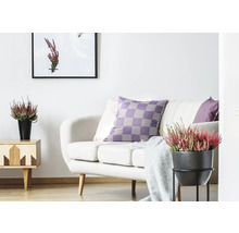 Ljust vardagsrum med soffa, kuddar, sidobord och krukväxter