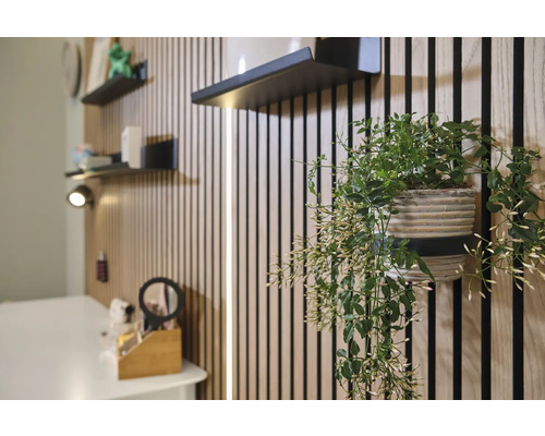 Rumsvy med träpaneler, svarta hyllor och hängande grön växt i kruka