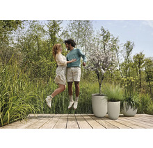 Scen med par på trädäck bredvid strukturerade planteringar och trädgård