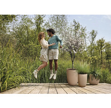 Ett par hoppar på en träterrass med blomlådor i en trädgård.