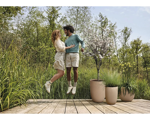 Ett par hoppar på en träterrass med blomlådor i en trädgård.