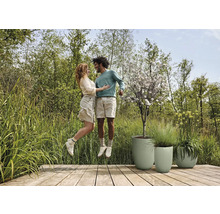 Ett par hoppar på en träaltan bredvid tre planteringar.