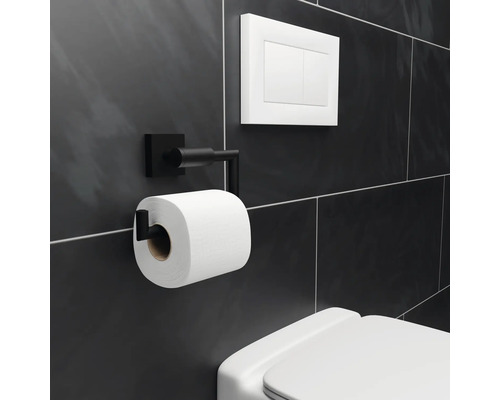 Toalettpappershållare i metall, toalettspolning och toalett i badrummet