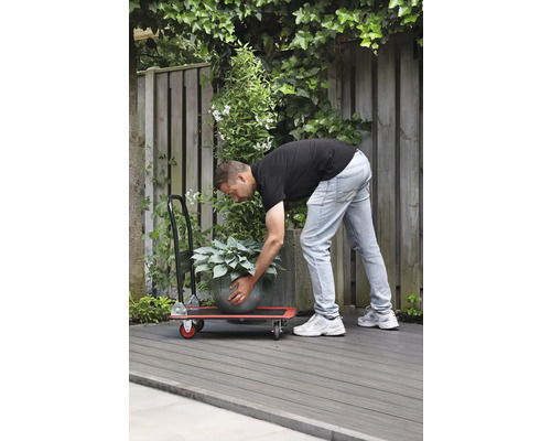 Man transporterar krukväxt med en rullbräda i trädgården.