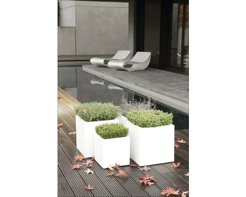 Fyrkantiga blomlådor i plast med växter på en träaltan