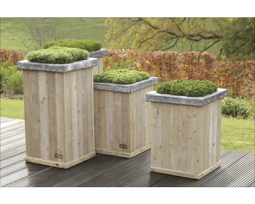 Flera trädgårdslådor i trä med gröna växter på i trädgården.