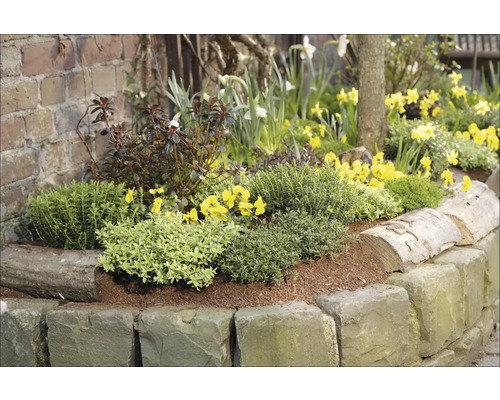 Blomrabatt med stenkanter, planterad med olika blommor och växter