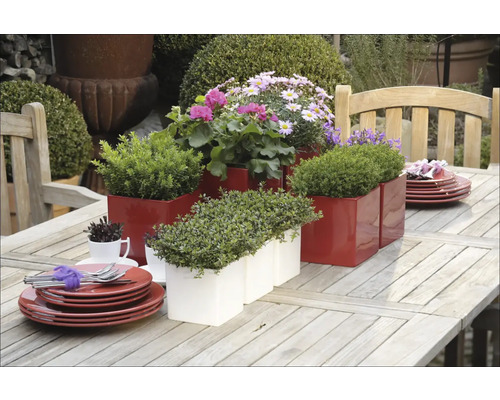 Dekorativt trädgårdsbord med röda och vita blomlådor samt porslin.