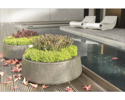 Två planterade stenkrukor på en träterrass bredvid en damm