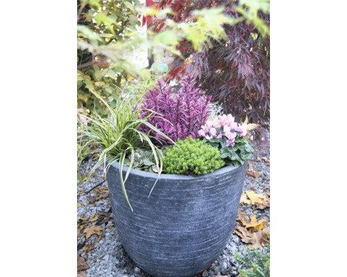 Blomsterarrangemang i planteringskärl i trädgården