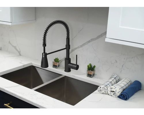Diskho med svart blandare med spiralfjäder och två hoar