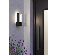 Modern utomhusvägglampa bredvid en dörr och lavendel