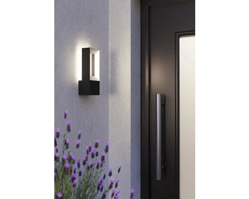 Modern utomhusvägglampa bredvid en dörr och lavendel