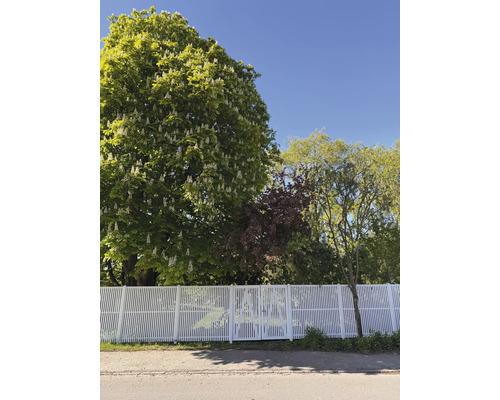 Vitt staket med växtmönster framför träd