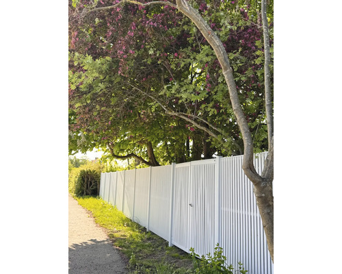 Vitt staket med vertikala ribbor längs en stig under träd