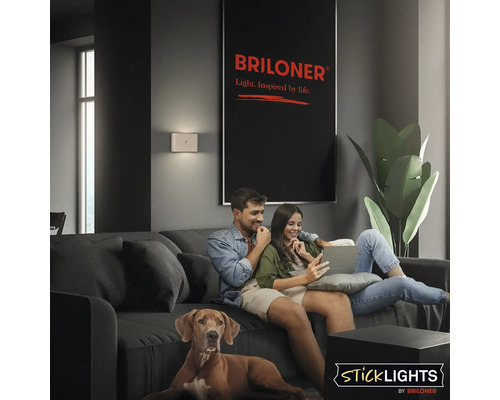 Vardagsrum med par i soffan, hund och vägglampa