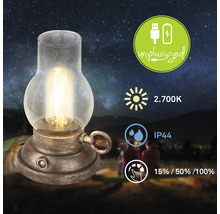 Dekorativ lampa i lyktstil med energisparlampa
