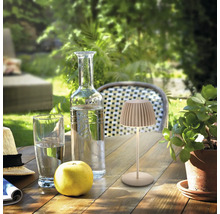 Bordsscen med vattenflaska, glas, äpple, växt och bordslampa på ett träbord
