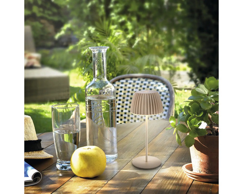 Bordsscen med vattenflaska, glas, äpple, växt och bordslampa på ett träbord