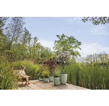 Trädgårdsscen med en kvinna på en stol och diverse planterade blomkrukor på en träaltan