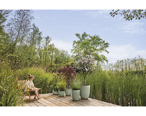 Trädgårdsscen med en kvinna på en stol och diverse planterade blomkrukor på en träaltan