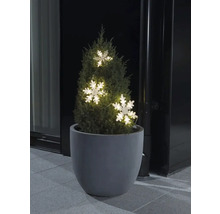 Dekorativ barrväxt i kruka med ljusslinga med snöflingor