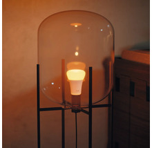 Golvlampa med glaskupol och LED-lampa