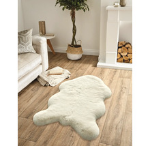 Vardagsrum med soffa, öppen spis, krukväxt och en matta med pälsimitation