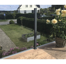 Trädgårdsscen med metallstolpar och glasstaket på träterrass