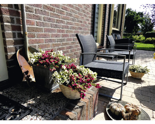 Terrass med trädgårdsmöbler, blomlådor och dekorationer framför en tegelvägg.