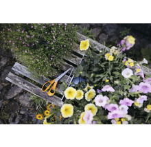 Trädgårdssax ligger på en träbänk, omgiven av färgglada blommor.