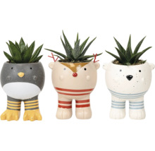 Tre dekorativa blomkrukor i djurform med suckulenter