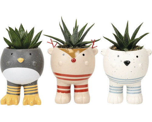 Tre dekorativa blomkrukor i djurform med suckulenter