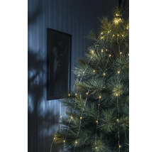 Närbild av en julgran med ljusslinga