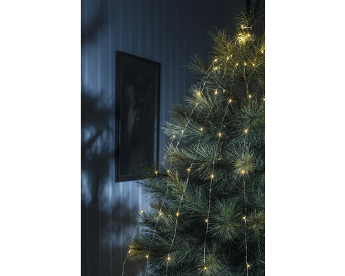 Närbild av en julgran med ljusslinga