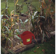 Röd vattenkanna i trädgårdslandet bland växter