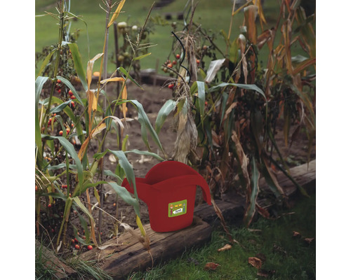 Röd vattenkanna i trädgårdslandet bland växter