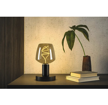 Dekorativ bordslampa med glödlampa, böcker och växt på bordet