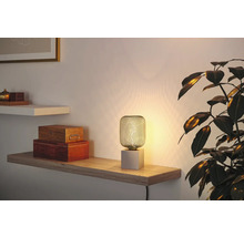 Dekorativ bordslampa på en hylla med växt