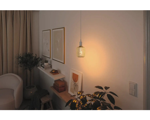 Dekorativ inredning med hängande lampa, växter och väggdekoration